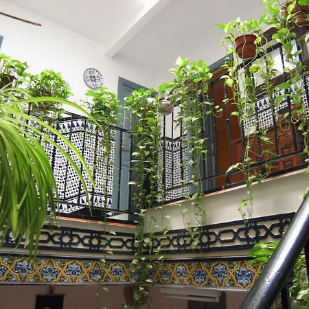 La Montoreña