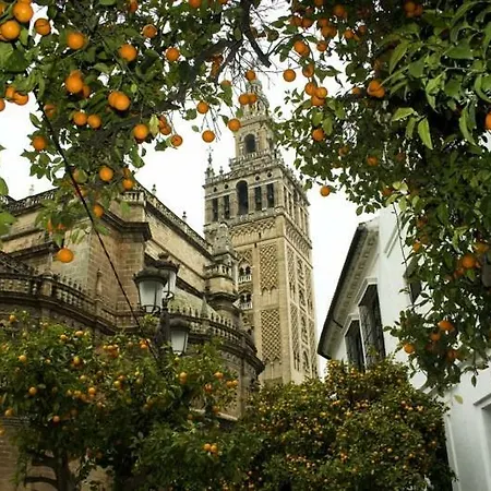 Pensión La Montoreña
